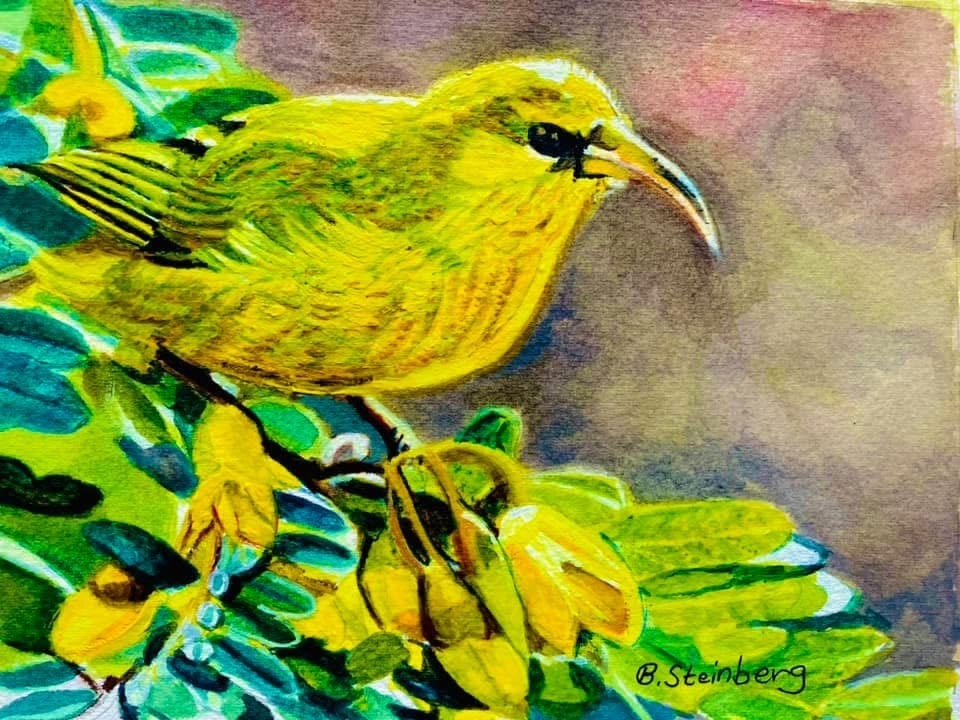 Vibrant watercolor of a yellow Hawaiian honeycreeper among tropical flowers